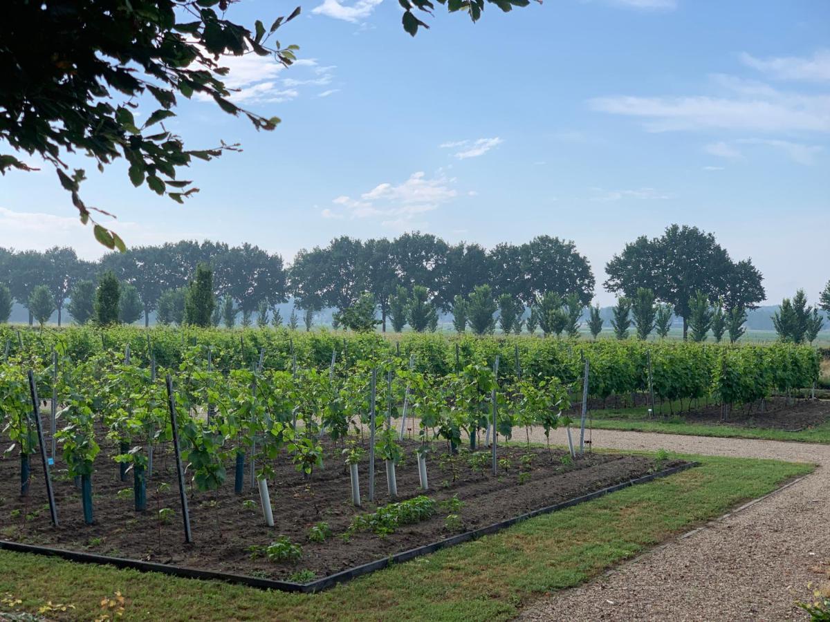 Het Gouden Hert Montfort Exterior foto